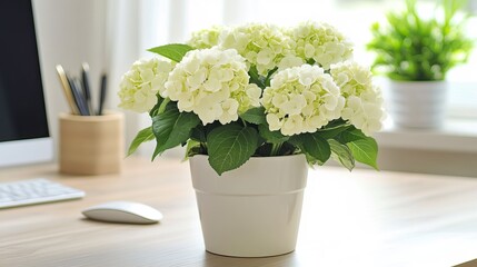 White ceramic flower pot with fresh white blooms on a Scandinavian-style desk