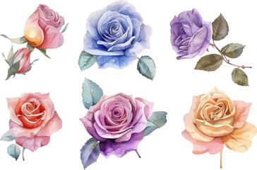 Fototapeta premium set of roses vector illustration
