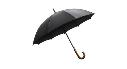 Isolated Classic Black Umbrella with Wooden Handle