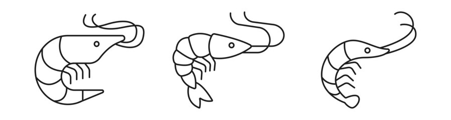 Shrimp line icon. Shrimp logo set. Seafood, prawn, fish. Editable stroke width