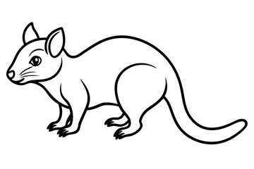 Wild Quoll Vector