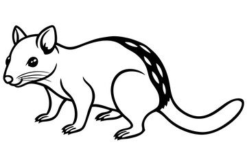 Wild Quoll Vector