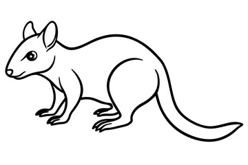 Wild Quoll Vector