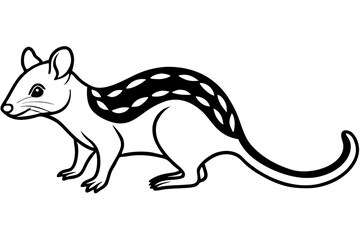 Wild Quoll Vector