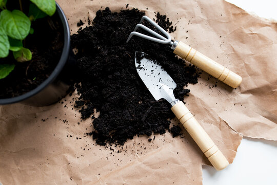 Gardening tools and soil with potted plant on brown paper background