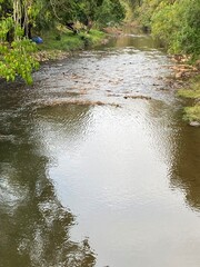 A serene river flows through a lush green landscape, with stones visible beneath the water's...