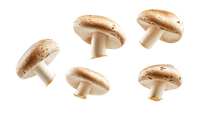 Fototapeta premium Falling Champignon Mushroom Isolated on Transparent Background for Creative Designs