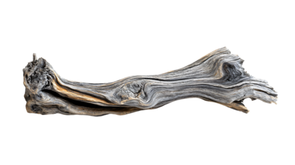 Gray Driftwood Piece Isolated on Transparent Background for Design Projects