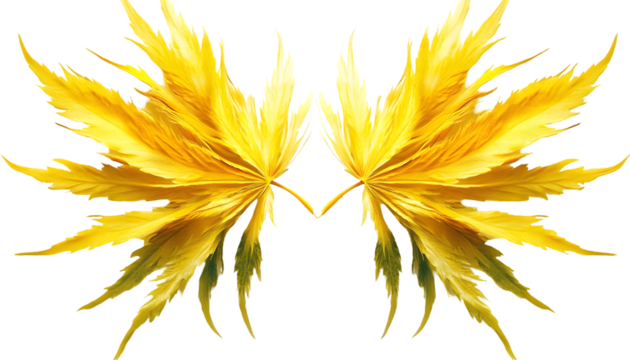 Vibrant, symmetrical, stylized maple leaves