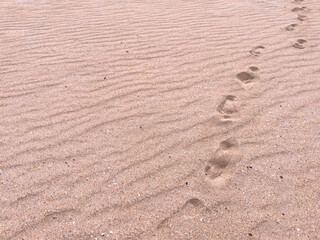 Footprints on the sandy beach reflecting calm and solitude