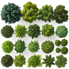 Flat Style Tree Canopies - Top View