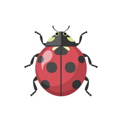Vector Illustration of ladybug, tinny insect Character for decor.