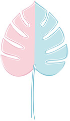 vector illustration of monstera