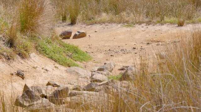 Dry River Bed