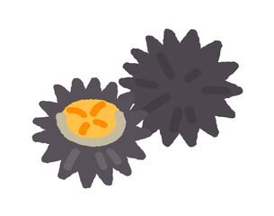 ウニ