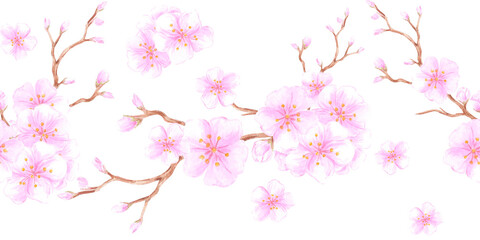 Hand drawn watercolor cherry blossom seamless border. Illustration of spring flowers isolated on white background. Can be used for textile, fabric, wrapping and other printed products.