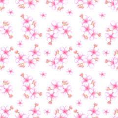 Hand drawn watercolor cherry blossom bouquet seamless pattern isolated on white background. Can be used for textile, fabric, scrapbook and other printed products.