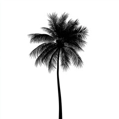 tropical palm tree silhouette, graphic vector design, no background, line art style, monochrome black and white, perfect for t-shirt print