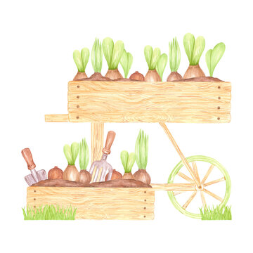 watercolor wooden cart with onions clip art preview