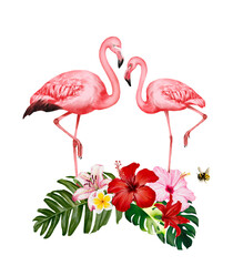 pink flamingo on flowers, summer, hibiscus, tropical, fresh, Hand drawn illustration on a transparent background
