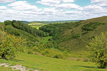 Obraz premium View of the South Downs National Park at Butser Hill in Hampshire, England