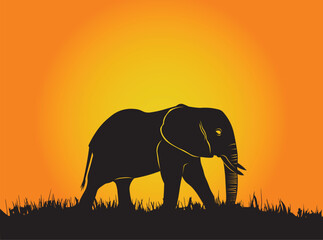 elephant at sunset