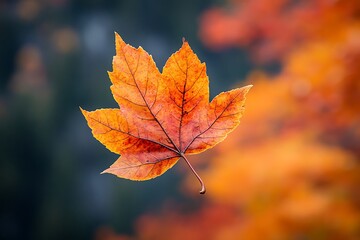 Vibrant autumn leaf in soft focus, showcasing fall colors.