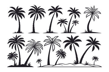 Fototapeta premium Collection of black silhouette palm trees isolated on a white background