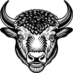 head of bull