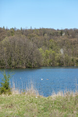 A natural park at Wernauer Bagger lake, Wendlingen, Germany