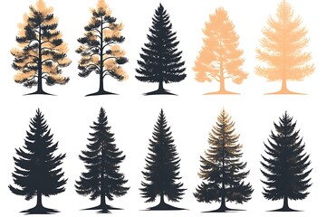 Obraz premium Silhouetted Evergreen Trees Collection, Ten Pine Tree Illustrations, Botanical Nature
