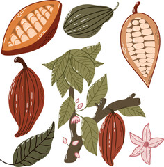 Illustration of Cocoa Plant with Pods, Leaves, and Flowers
