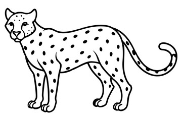 Wild Cheetah Stroke Design