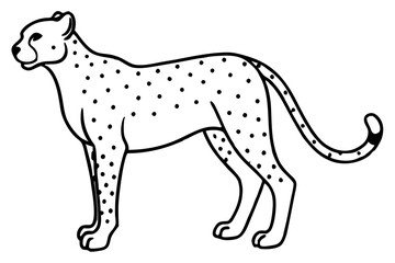 Fototapeta premium Wild Cheetah Stroke Design