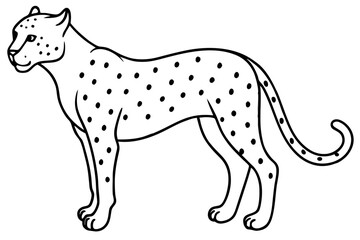 Fototapeta premium Wild Cheetah Stroke Design