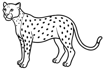 Fototapeta premium Wild Cheetah Stroke Design
