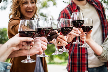 Friends making toast with red wine outdoors, diverse group celebrating together