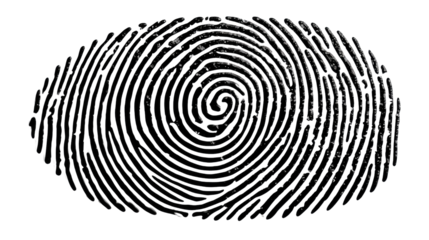 Intricate Fingerprint: A detailed close-up of a human fingerprint, showcasing the unique swirling patterns of ridges and valleys, illustrating identity and individuality. 