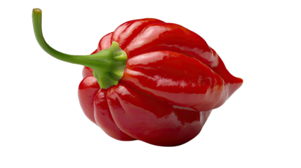 Fiery Red Scotch Bonnet Pepper: A close-up studio shot of a vibrant red Scotch bonnet pepper, its wrinkled skin gleaming, its stem a vivid green. It captures the beauty of fresh produce.