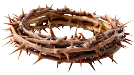 Crown of Thorns: A close-up shot of a meticulously crafted crown of thorns, a powerful symbol of sacrifice and religious devotion. This image invites viewers to contemplate themes of faith, suffering.