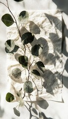 Delicate eucalyptus sprigs on textured cream paper, sun-drenched aesthetic