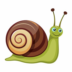 snail on a white background