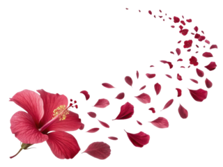 vibrant hibiscus flower gracefully releases its delicate petals, creating beautiful trail of nature artistry