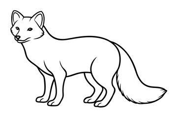 Fototapeta premium Wild Arctic Fox Vector