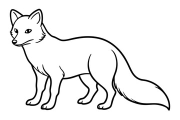 Wild Arctic Fox Vector