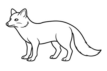 Wild Arctic Fox Vector