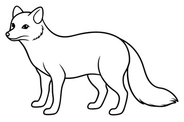 Wild Arctic Fox Vector