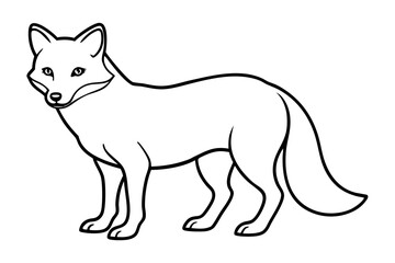 Wild Arctic Fox Vector