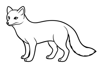 Wild Arctic Fox Vector