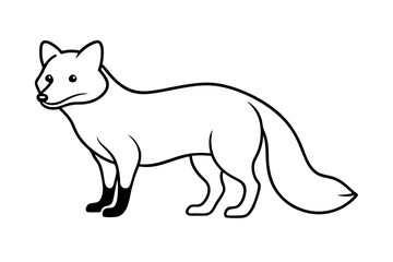 Fototapeta premium Wild Arctic Fox Vector